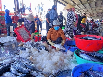 កំពង់ផែនេសាទធំជាងគេនៅតំបន់កណ្តាលខាងត្បូងវៀតណាមបានដំណើរការឡើង