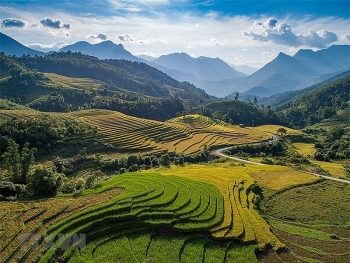 ជក់ចិត្តនឹងសម្រស់សាប៉ា (Sapa) នាពេលរដូវស្រូវទុំ