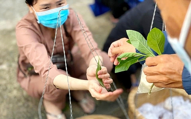 ទីផ្សារពិសេសរបស់ជនជាតិវៀតណាម ជំនួសលុយវិញ គេជួញដូរជាមួយ... ស្លឹកឈើ